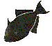 b b